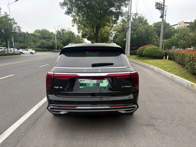 Hongqi E-HS9 — Фото автомобиля 7