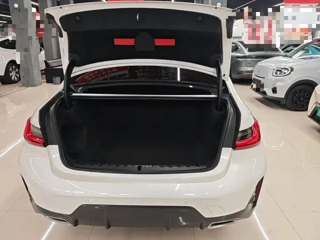BMW 3 Series — Фото автомобиля 18