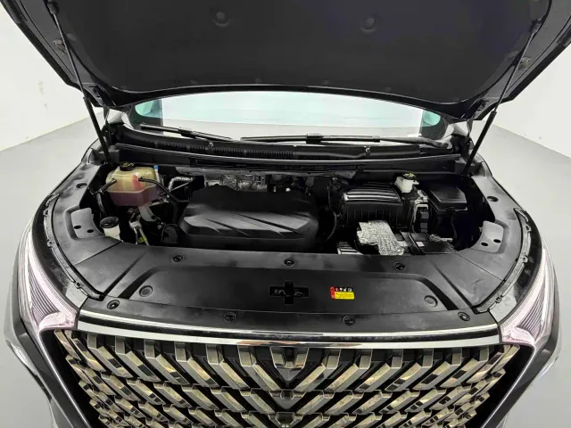 Maxus G90 — Фото автомобиля 14