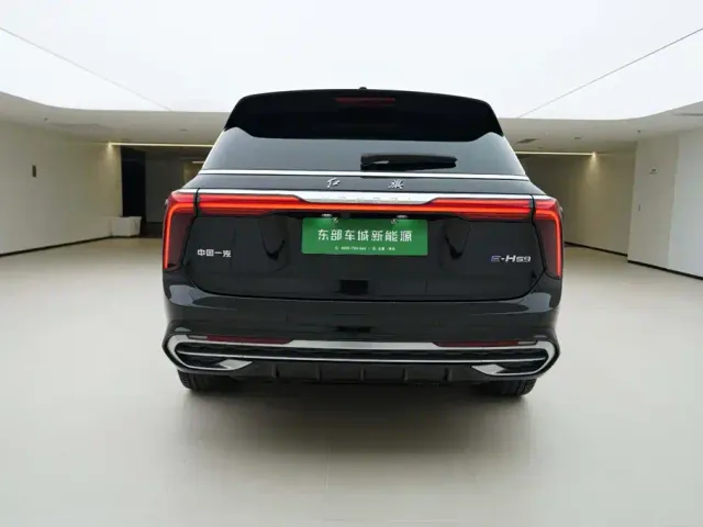 Hongqi E-HS9 — Фото автомобиля 5