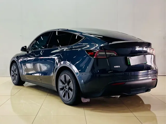 Tesla Model Y — Фото автомобиля 6