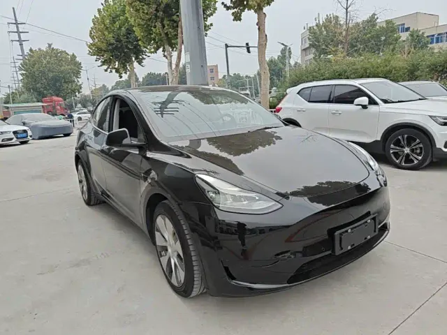 Tesla Model Y — Фото автомобиля 3