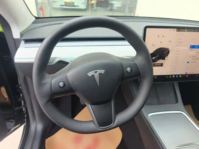 Tesla Model Y — Фото автомобиля 10