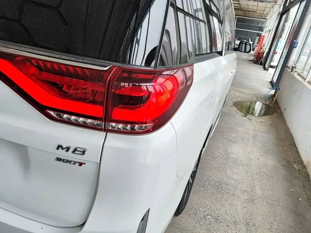 GAC Trumpchi M8 — Фото автомобиля 7