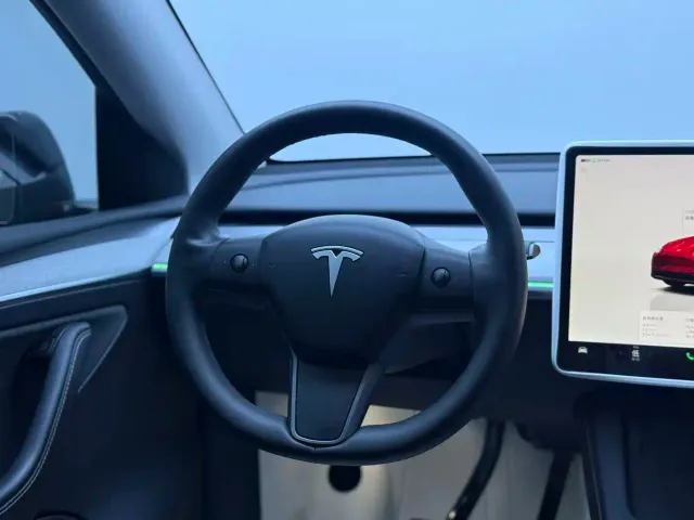 Tesla Model Y — Фото автомобиля 11