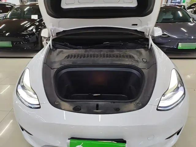 Tesla Model Y — Фото автомобиля 19