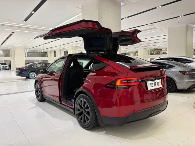 Tesla Model X — Фото автомобиля 3