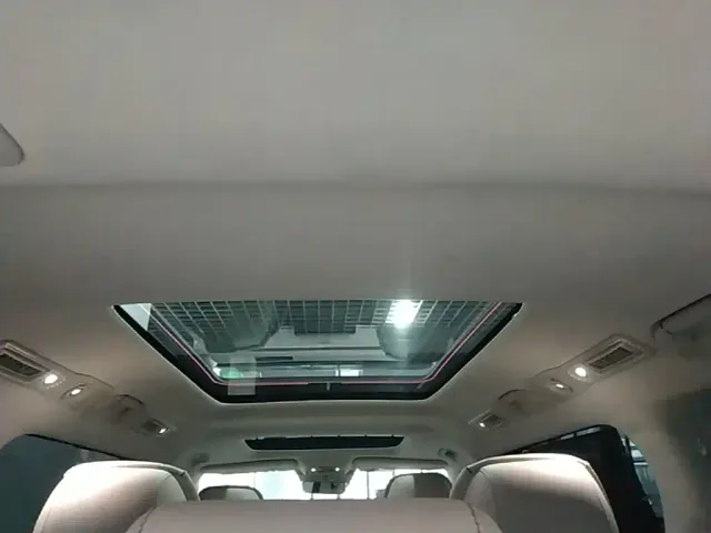 Denza Denza D9 2022 DM-i 970 AWD Flagship — Фото автомобиля 17