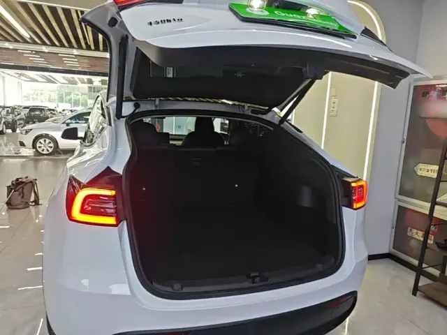 Tesla Model Y — Фото автомобиля 18
