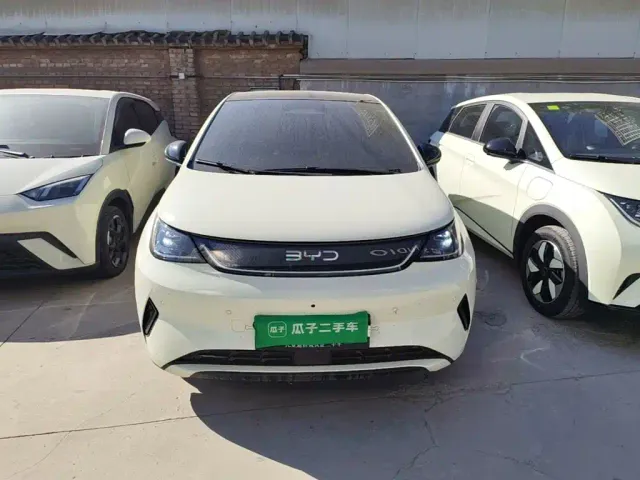 BYD Dolphin — Фото автомобиля 2