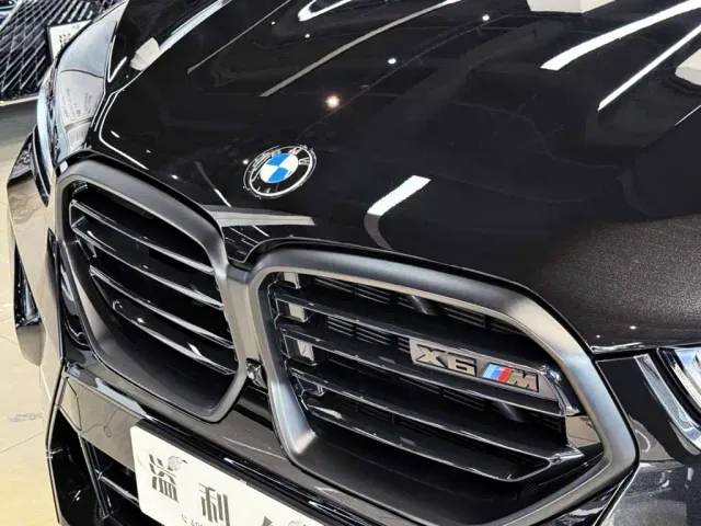 BMW X6 M — Фото автомобиля 9