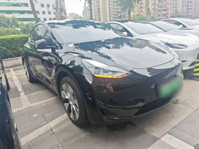 Tesla Model Y — Фото автомобиля 3