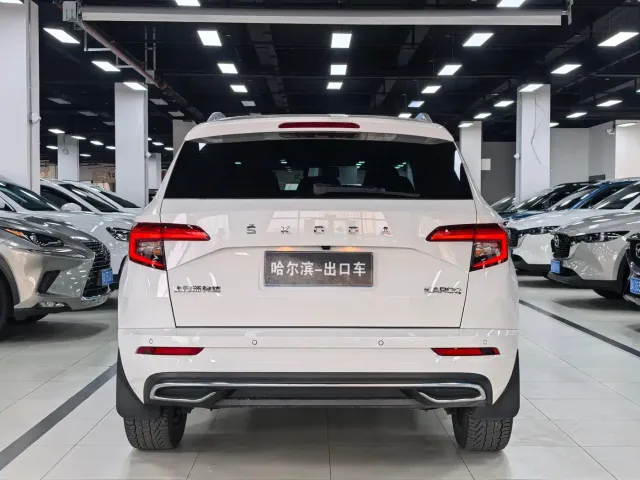 Skoda Karoq — Фото автомобиля 21