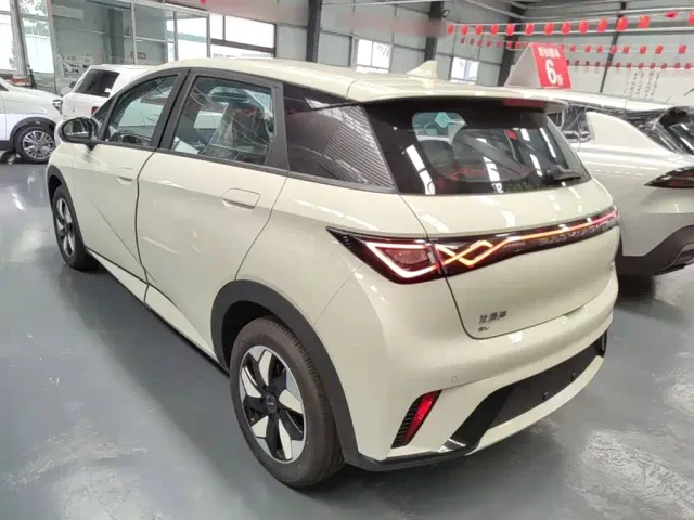 BYD Dolphin — Фото автомобиля 4