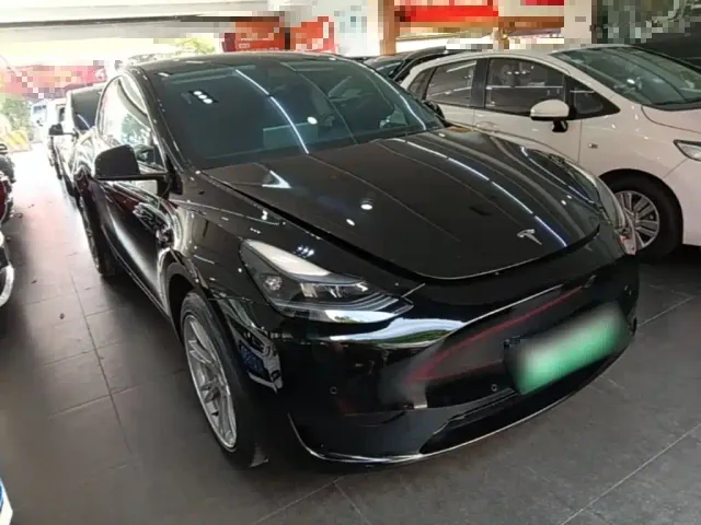 Tesla Model Y — Фото автомобиля 3