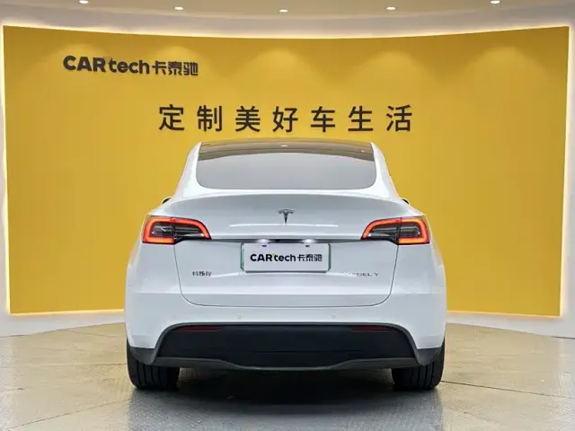 Tesla Model Y — Фото автомобиля 4