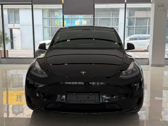 Tesla Model Y — Фото автомобиля 2
