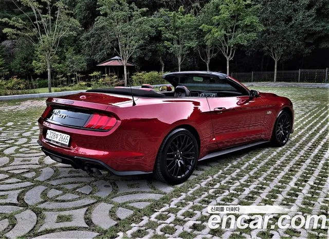 Ford Mustang — Фото автомобиля 19