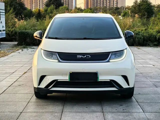 BYD Dolphin — Фото автомобиля 2