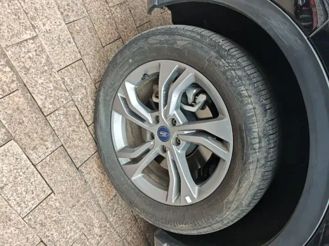 Ford Lingrui — Фото автомобиля 22