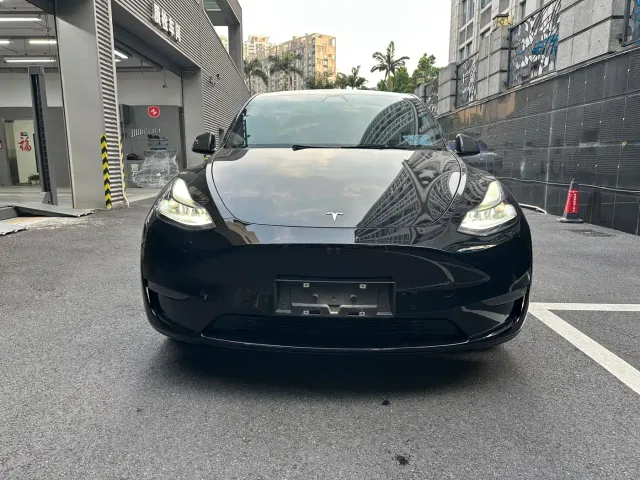 Tesla Model Y — Фото автомобиля 3
