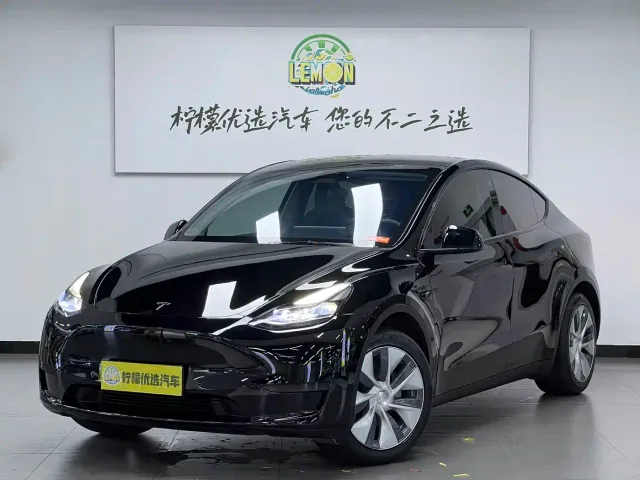 Tesla Model Y — Фото автомобиля 2