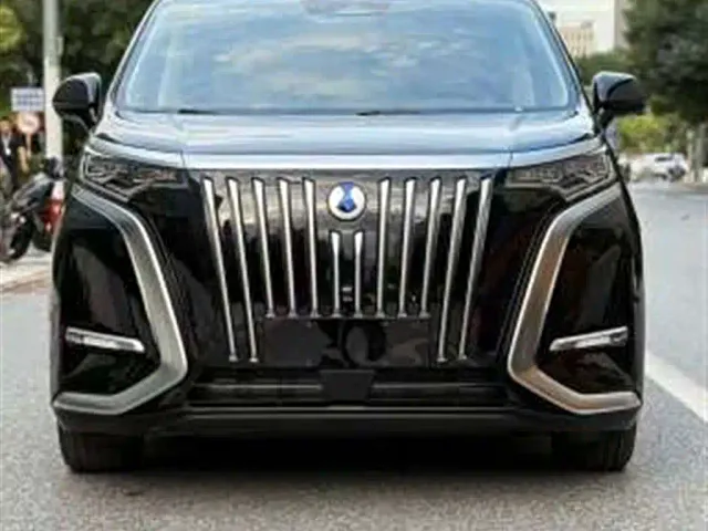 Denza D9 — Фото автомобиля 2