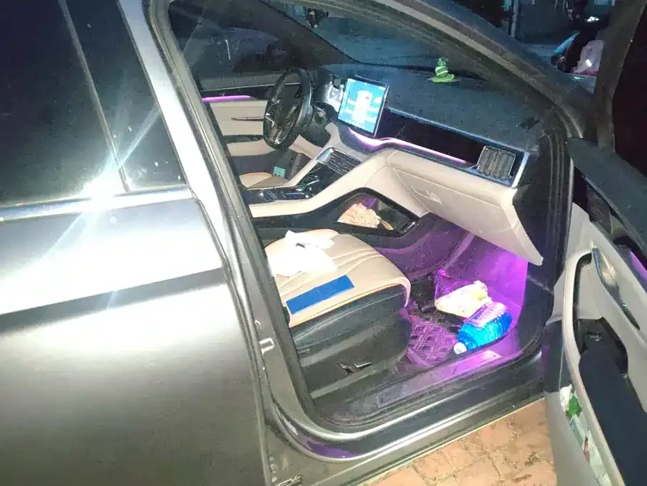 BYD Song PLUS PHEV 2021 DM-i 110KM Flagship PLUS — Фото автомобиля 8