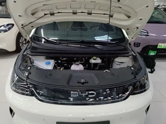 BYD Dolphin — Фото автомобиля 19
