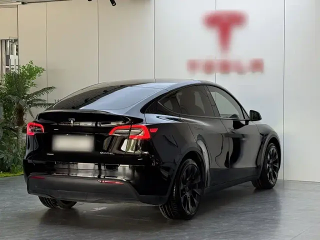 Tesla Model Y — Фото автомобиля 6