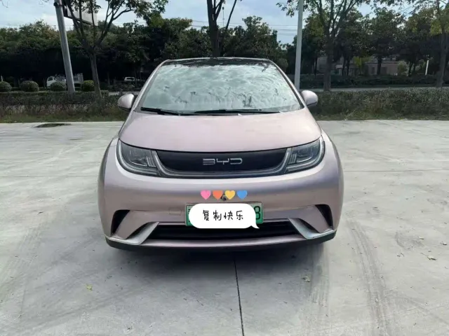BYD Dolphin — Фото автомобиля 2