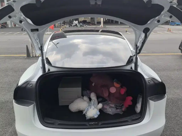 Tesla Model 3 — Фото автомобиля 18