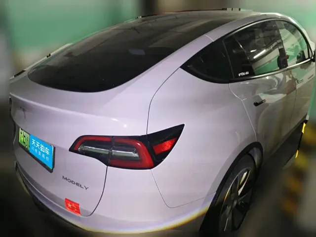Tesla Model Y — Фото автомобиля 2