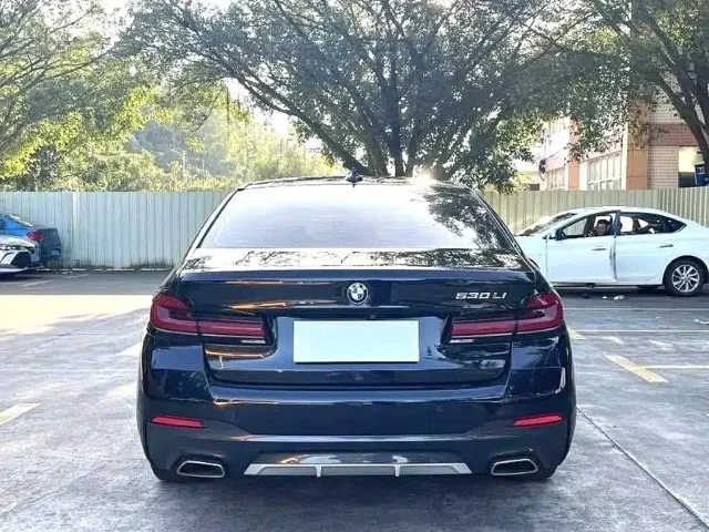 BMW 5 Series — Фото автомобиля 8
