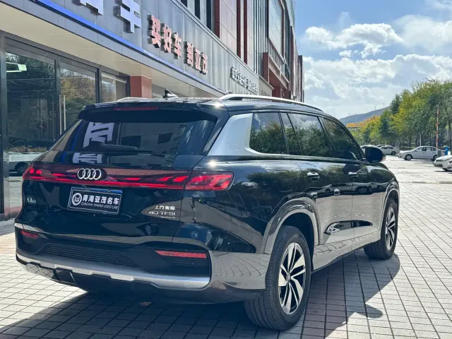 Audi Q6 — Фото автомобиля 13