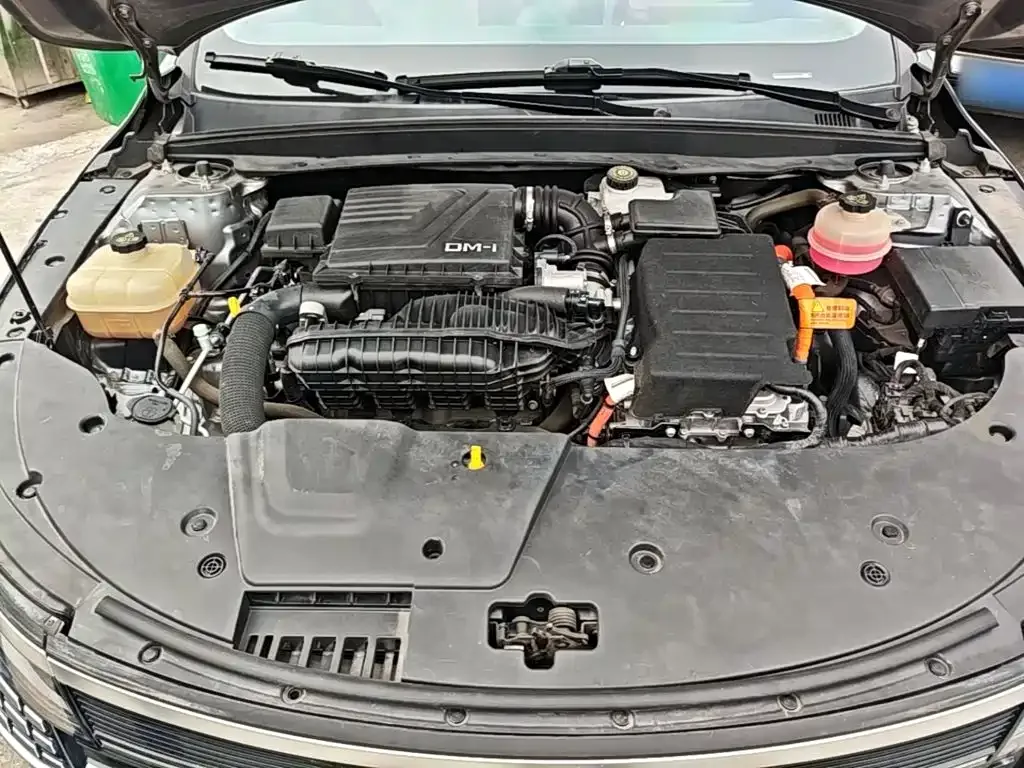 BYD Destroyer 05 2022 DM-i 55KM Luxury — Фото автомобиля 19