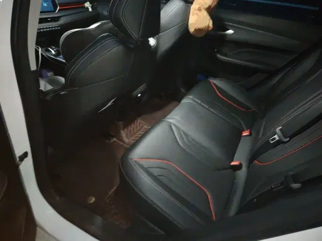 Geely Binrui — Фото автомобиля 13