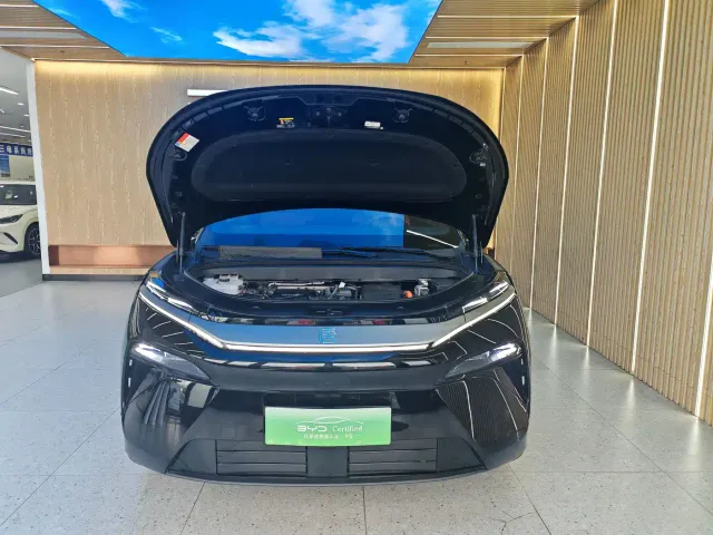 BYD Tang L — Фото автомобиля 3