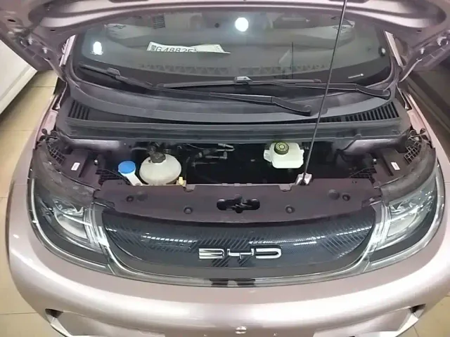 BYD Dolphin — Фото автомобиля 19