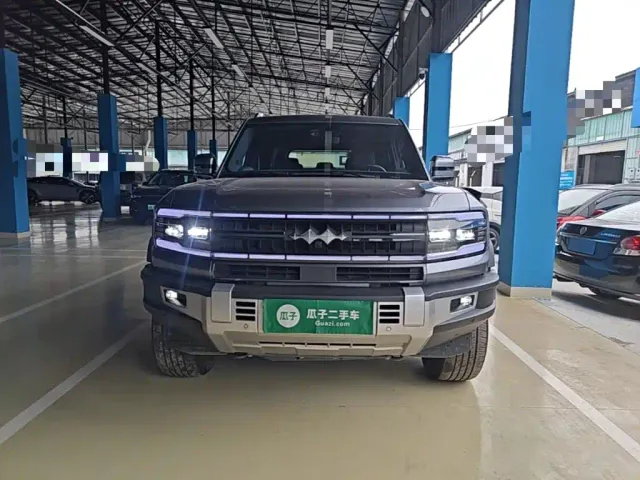 BYD FangChengBao Leopard 5 — Фото автомобиля 2