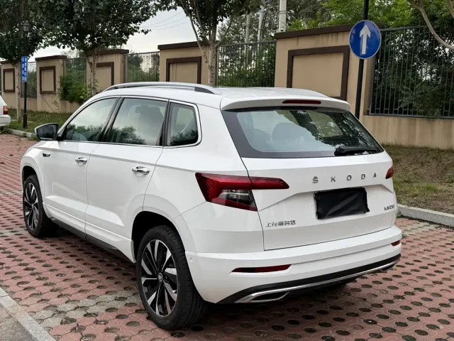 Skoda Karoq — Фото автомобиля 6