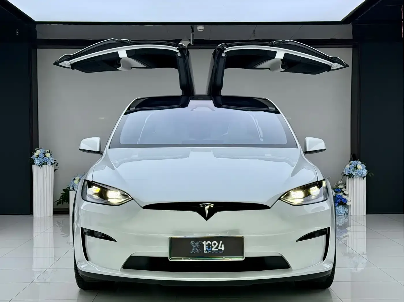 Tesla Model X 2023 Dual Motor All-Wheel Drive Edition — Фото автомобиля 2