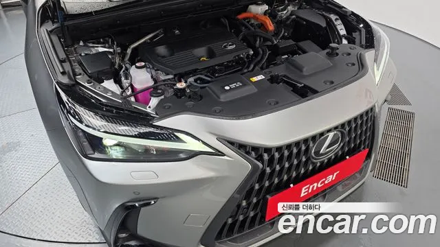 Lexus NX — Фото автомобиля 6