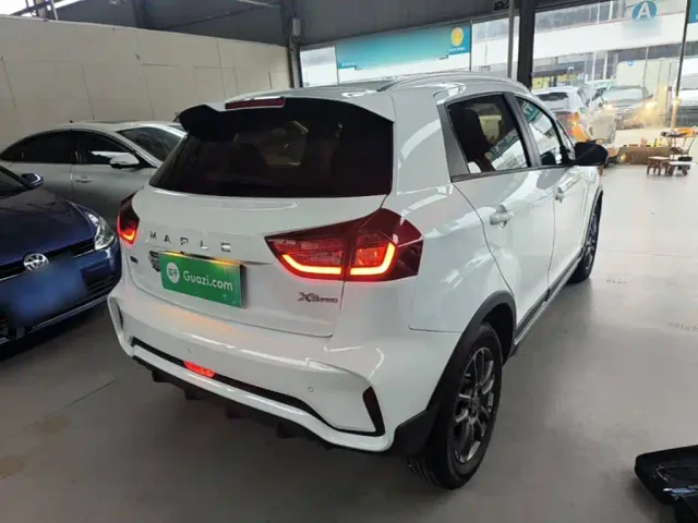 Livan X3 PRO — Фото автомобиля 6