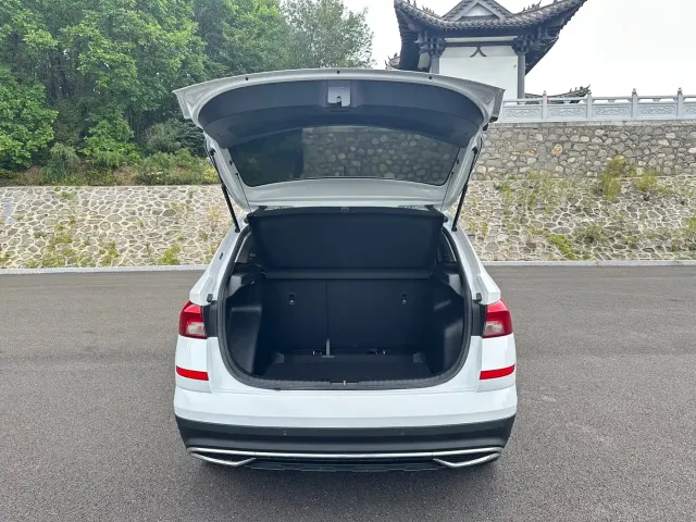 Skoda Kamiq — Фото автомобиля 9