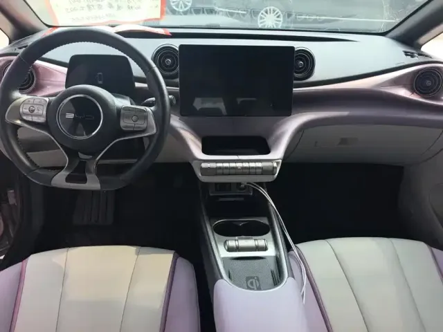 BYD Dolphin 2021 401km Knight Edition — Фото автомобиля 12