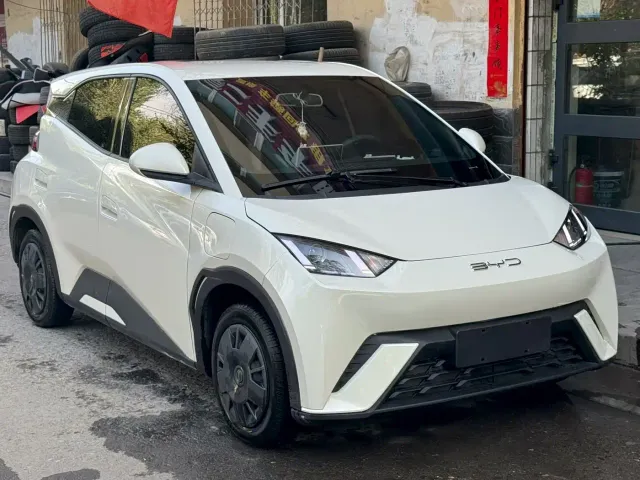 Фотография автомобиля — BYD Seagull
