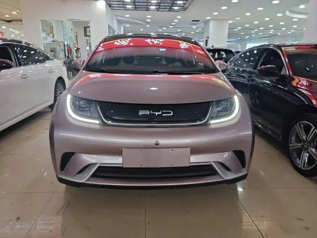 BYD Dolphin — Фото автомобиля 5