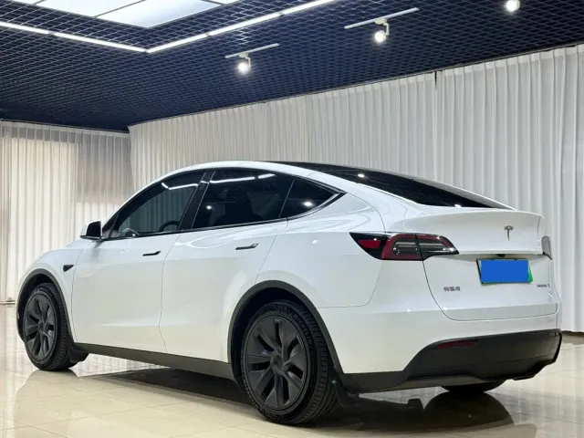 Tesla Model Y — Фото автомобиля 9