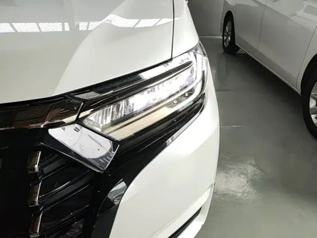 Honda Elysion — Фото автомобиля 23